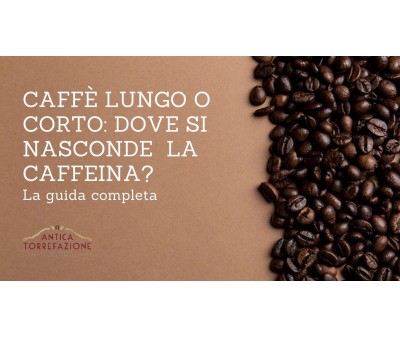 Caffè lungo o corto: dove si nasconde davvero la caffeina?
