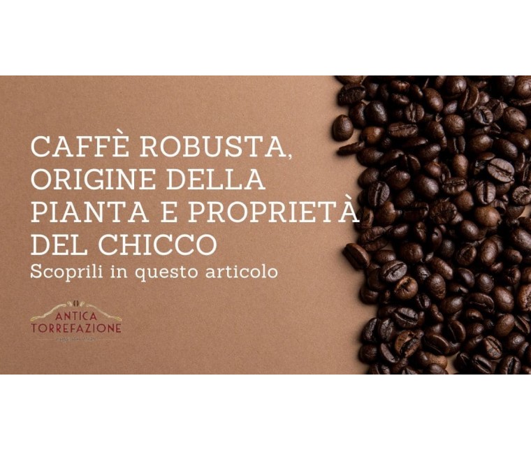 Caffè Robusta, Origine Pianta e Proprietà del Chicco