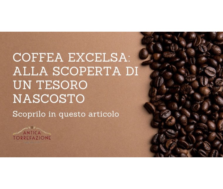 Coffea Excelsa: Alla Scoperta di un Tesoro Nascosto